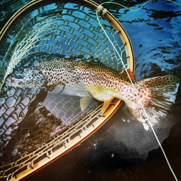 Yellow Creek Trout Club, Inc.