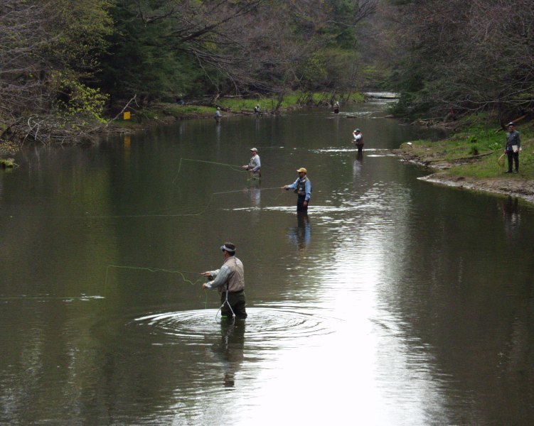 Yellow Creek Trout Club, Inc.